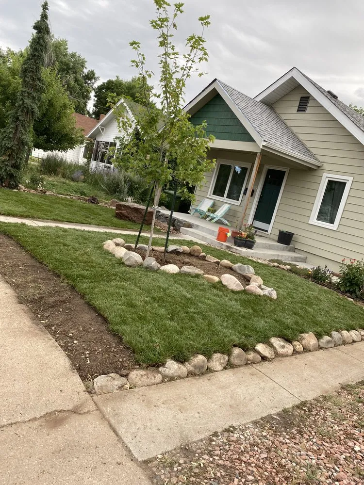Top-rated lawn mowing service for year-round maintenance across Loveland, CO - Grizzly Bear Sprinkler Repair