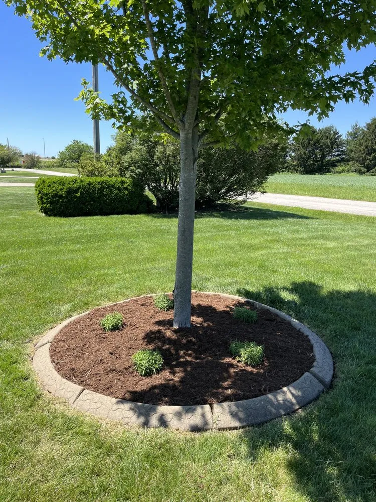 Top-rated lawn care service for residential properties across Decatur, IL - Grizzly Greens