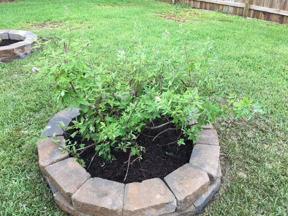 Custom garden landscaping for year-round maintenance in Nolanville, TX by Grizzly Lawn & Home