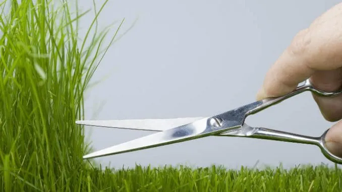Professional lawn care service in Cosby, TN - Grizzly Lawn Care