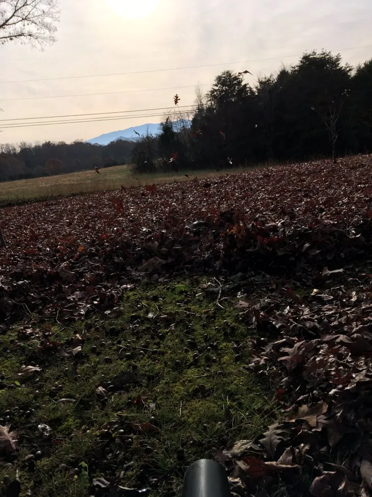 Local landscaping services for outdoor upgrades in Cosby, TN by Grizzly Lawn Care