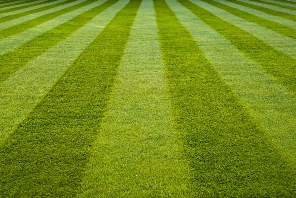 Expert outdoor landscaping in Cosby, TN - Grizzly Lawn Care