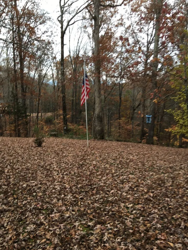 Custom yard maintenance experts serving Cosby, TN - Grizzly Lawn Care