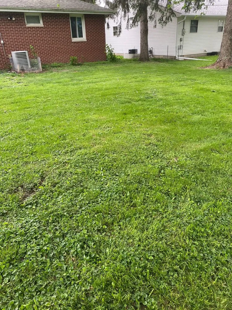 Top-rated lawn care service in Mahomet, IL by Grizzly Lawn Care