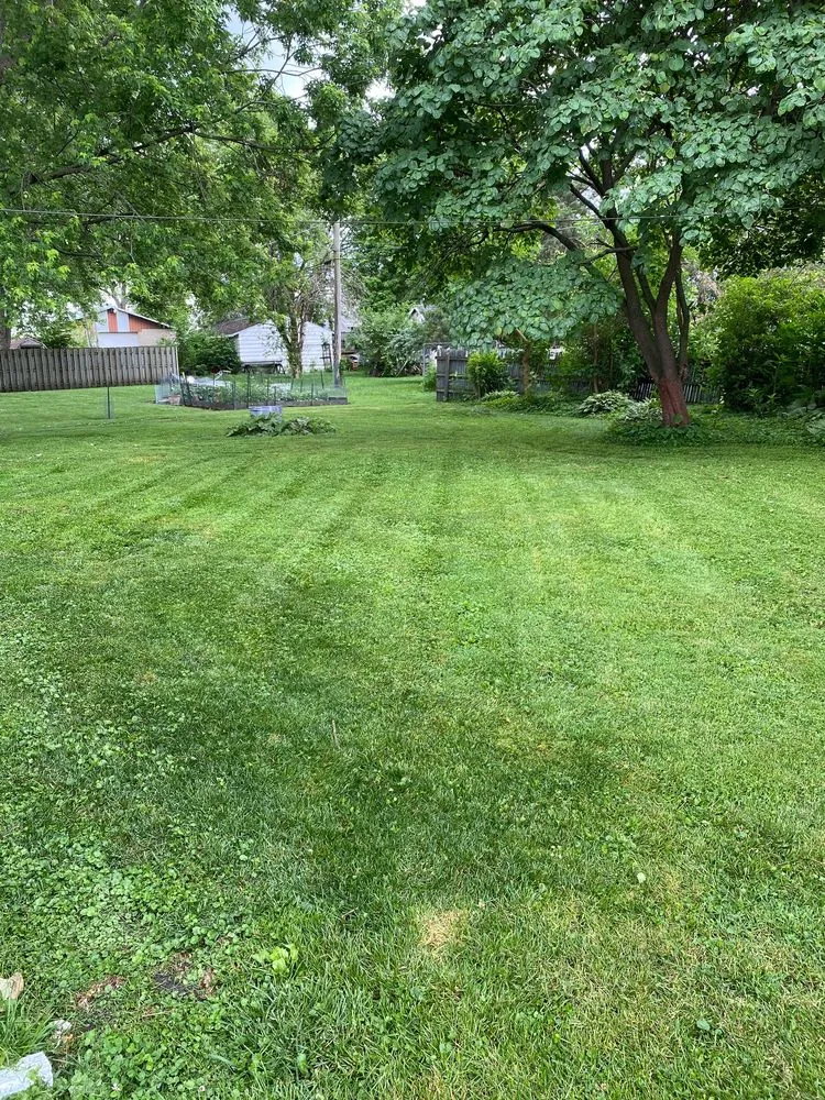 Local landscaping services in Mahomet, IL - Grizzly Lawn Care