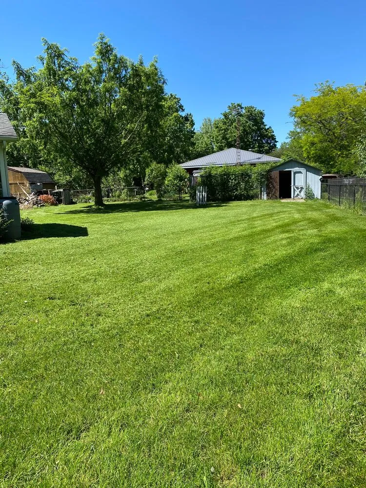 Expert landscape installation for homes across Mahomet, IL - Grizzly Lawn Care