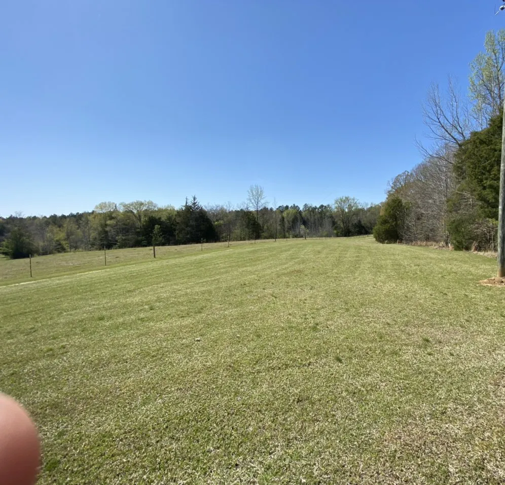 Reliable yard maintenance in Sardis, MS - Grizzly Lawn Care