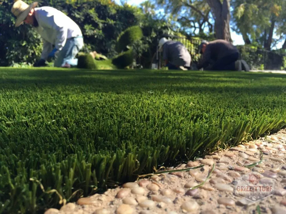 Professional yard cleanup service in Orange, CA by Grizzly Outdoor