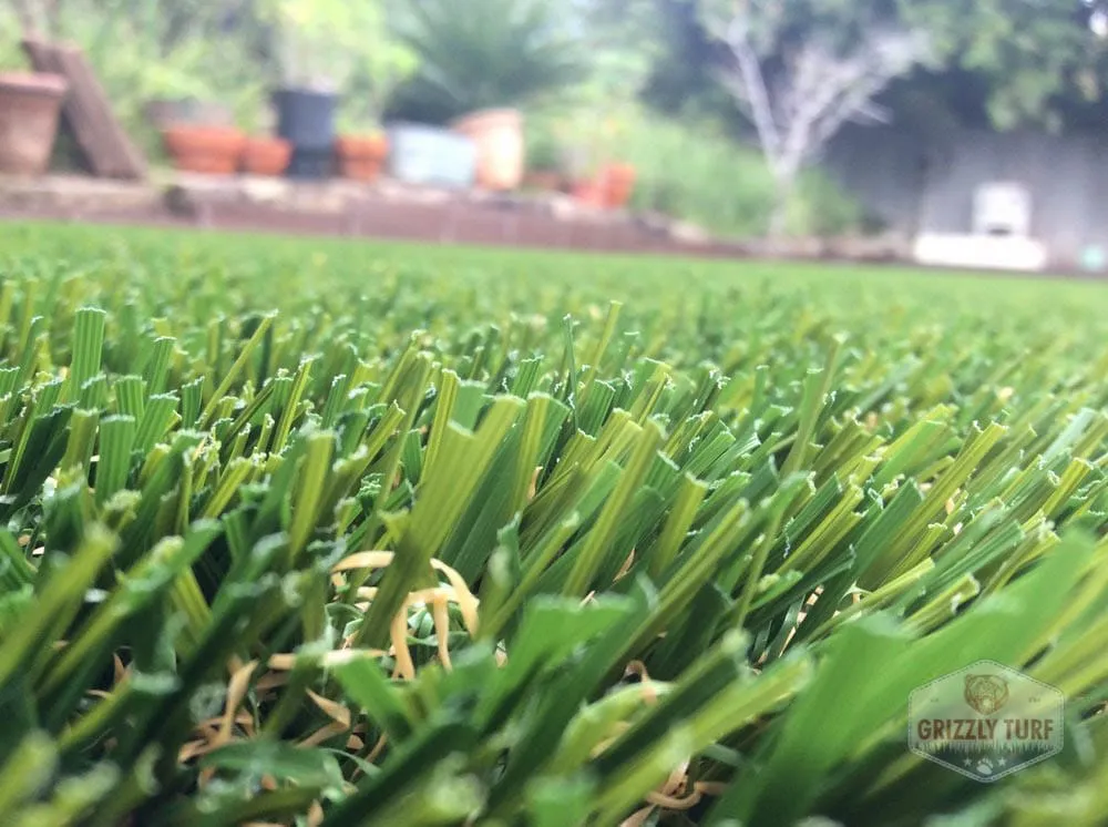 Local lawn care service in Orange, CA by Grizzly Outdoor