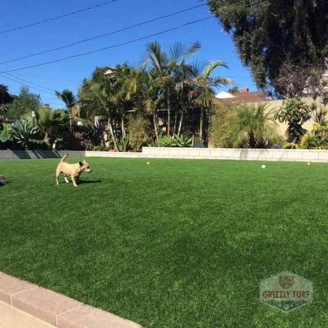 Professional lawn mowing service near you in Orange, CA by Grizzly Outdoor