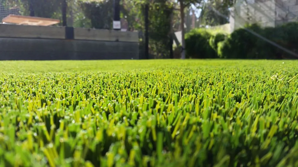 Expert residential landscaping in San Diego, CA - Grizzly Outdoor