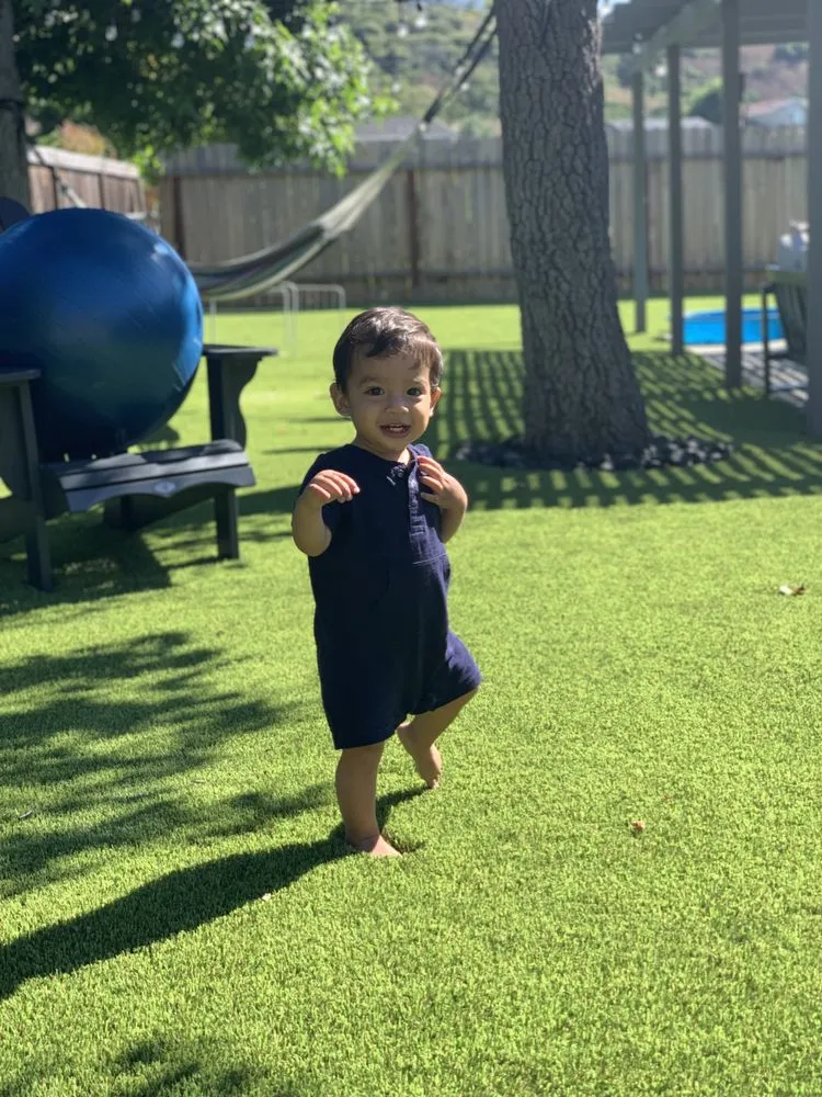 Reliable landscape installation for beautiful yards in San Diego, CA by Grizzly Outdoor