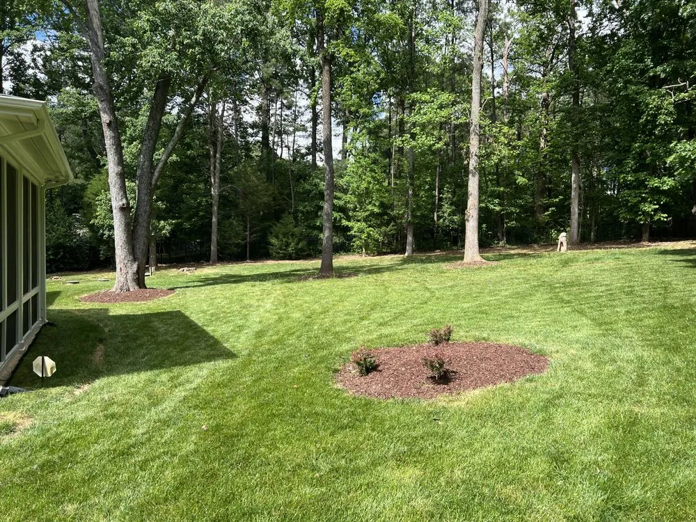 Trusted lawn care service experts serving Durham, NC - Grizzly Tree Removal Service