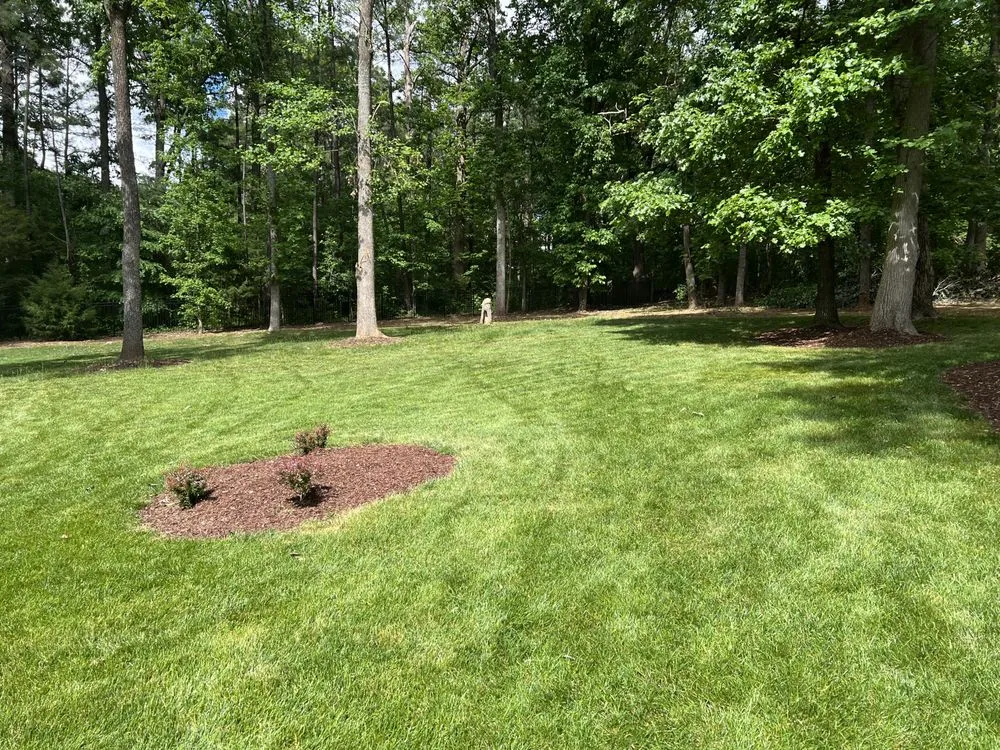 Trusted yard maintenance for year-round maintenance across Durham, NC - Grizzly Tree Removal Service