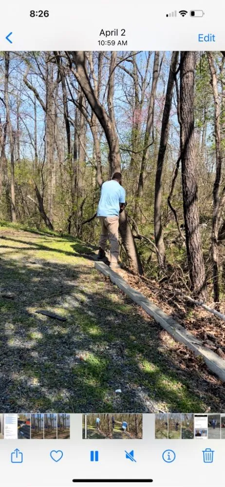 Reliable yard maintenance experts serving Durham, NC - Grizzly Tree Removal Service