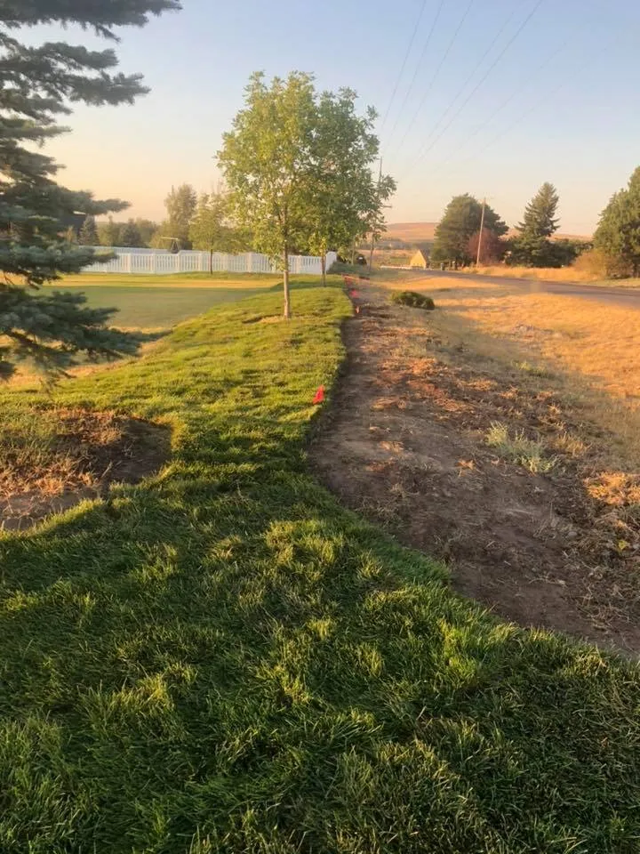 Local yard cleanup service experts serving Idaho Falls, ID - Grizzly Turf Pros