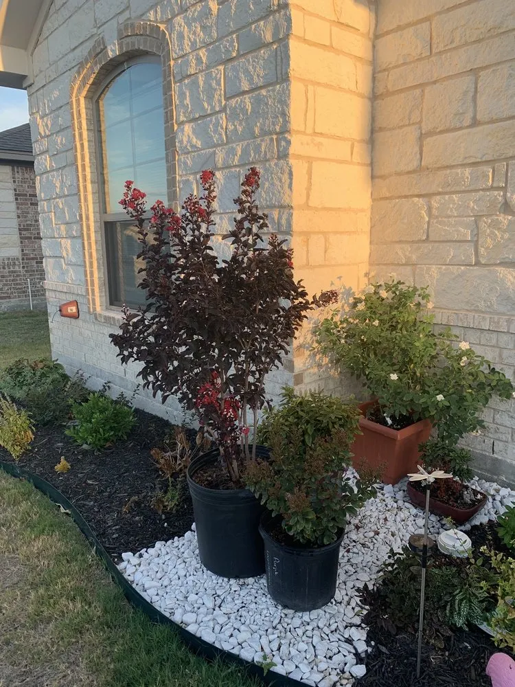 Local lawn mowing service for residential properties in Nolanville, TX by Grizzly's Hidden Falls Nursery & Landscaping