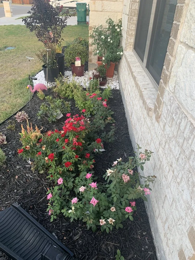 Local residential landscaping for homes across Nolanville, TX - Grizzly's Hidden Falls Nursery & Landscaping