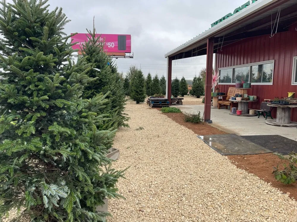 Expert yard maintenance for homes across Nolanville, TX - Grizzly's Hidden Falls Nursery & Landscaping