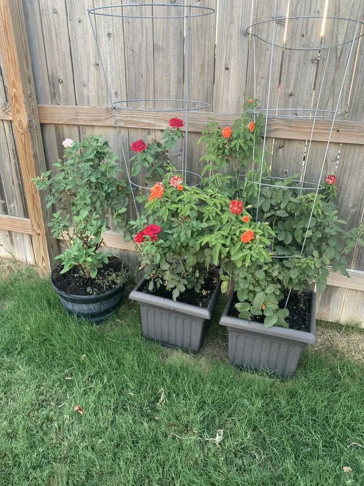 Professional outdoor landscaping experts serving Nolanville, TX - Grizzly's Hidden Falls Nursery & Landscaping