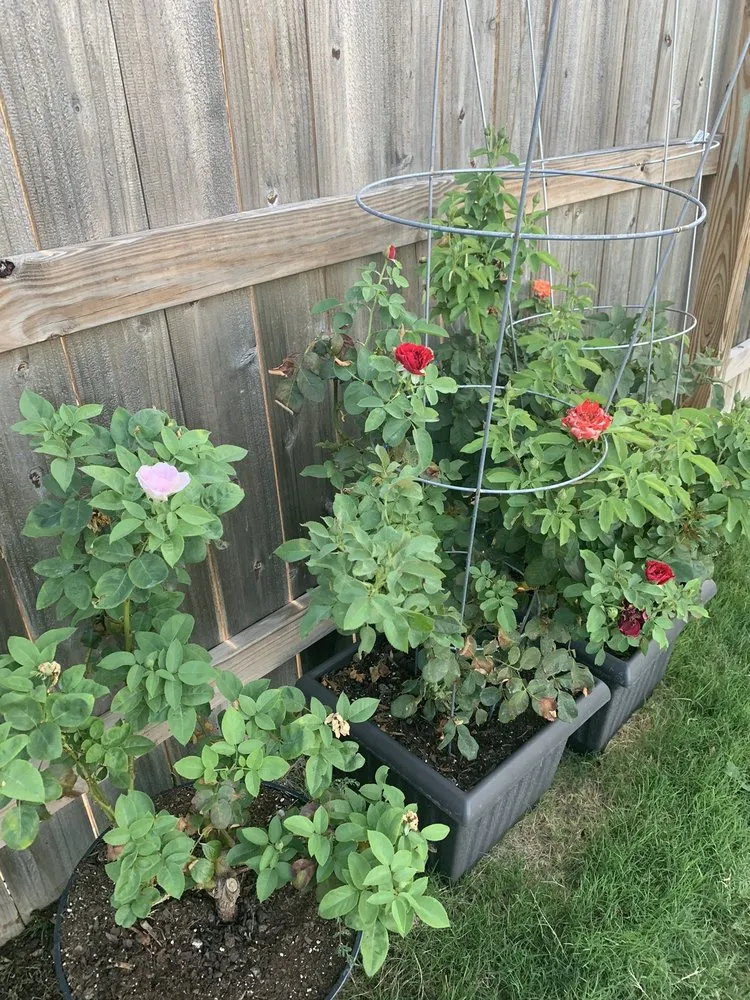 Professional landscape design with custom design in Nolanville, TX by Grizzly's Hidden Falls Nursery & Landscaping