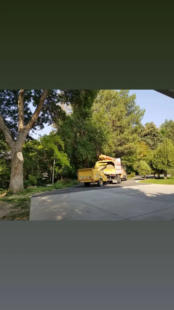 Professional outdoor landscaping experts serving Salt Lake City, UT - Grizzly's Tree Service & Landscaping