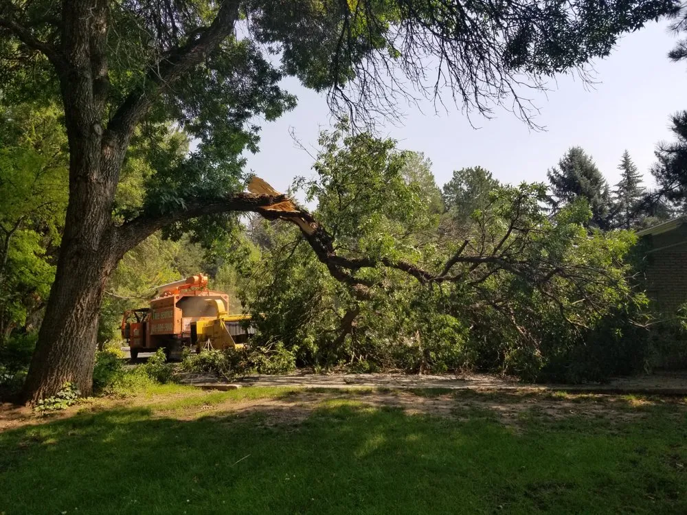 Expert outdoor landscaping in Salt Lake City, UT - Grizzly's Tree Service & Landscaping