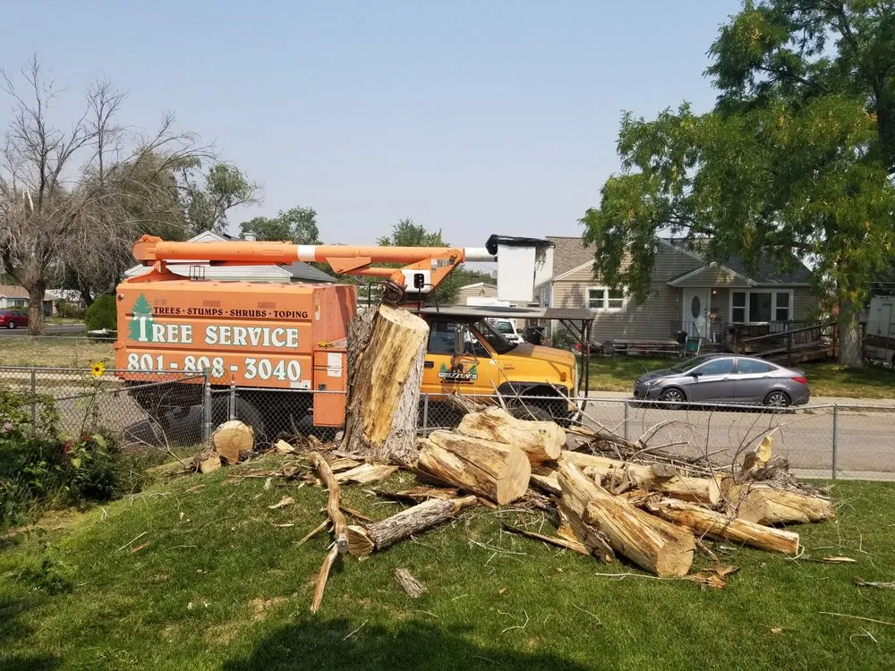 Trusted yard cleanup service experts serving Salt Lake City, UT - Grizzly's Tree Service & Landscaping