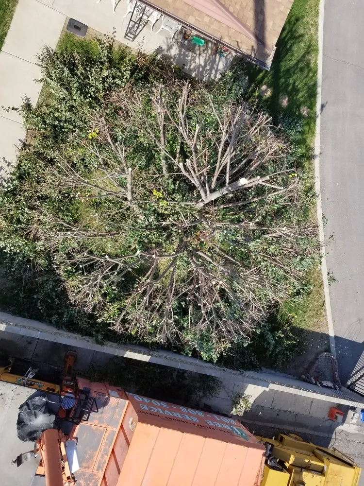 Local residential landscaping experts serving Salt Lake City, UT - Grizzly's Tree Service & Landscaping