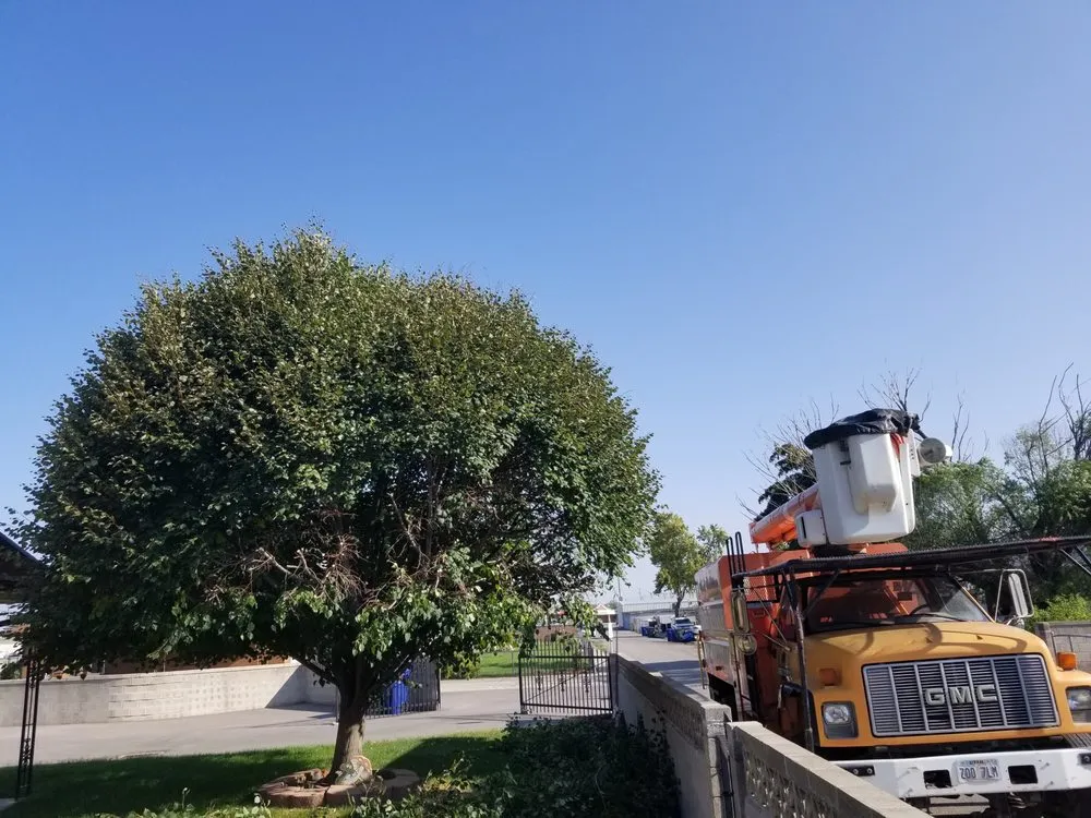 Local residential landscaping for residential properties across Salt Lake City, UT - Grizzly's Tree Service & Landscaping