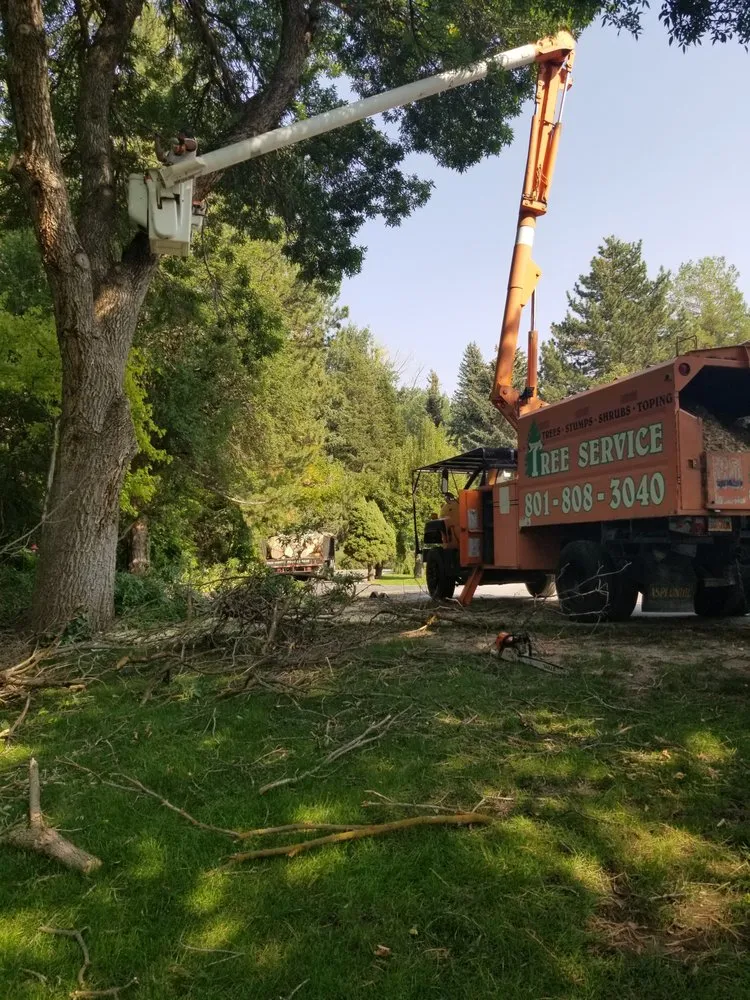 Professional landscaping services experts serving Salt Lake City, UT - Grizzly's Tree Service & Landscaping