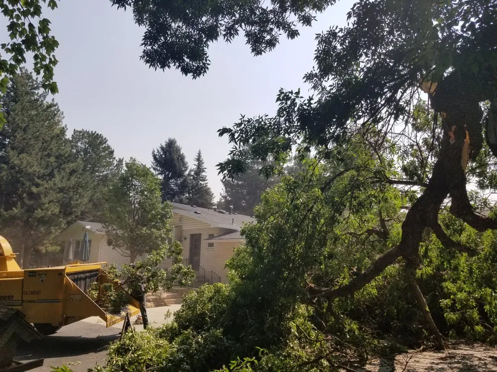 Trusted yard cleanup service experts serving Salt Lake City, UT - Grizzly's Tree Service & Landscaping