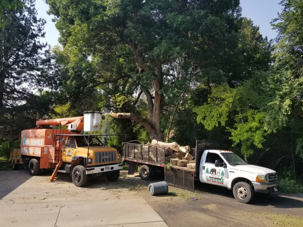 Expert yard maintenance for outdoor upgrades in Salt Lake City, UT by Grizzly's Tree Service & Landscaping