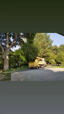 Grizzly's Tree Service & Landscaping Logo