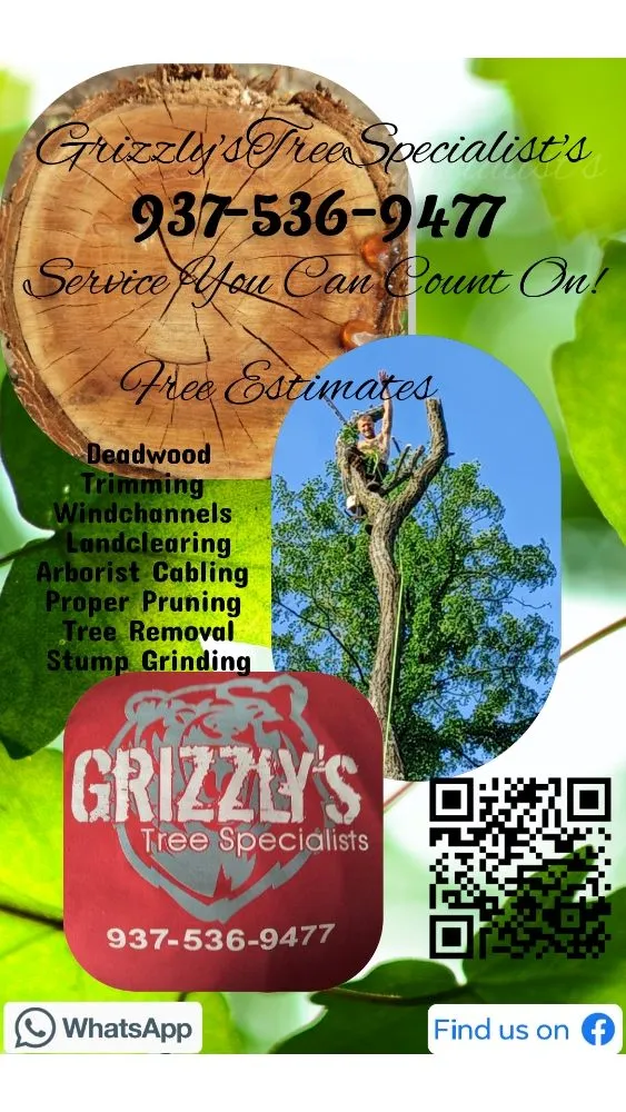 Reliable lawn care service experts serving Springfield, OH - Grizzly's Tree Specialist's