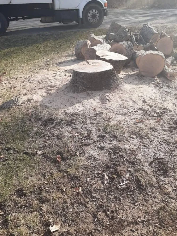 Professional landscape installation in Springfield, OH by Grizzly's Tree Specialist's