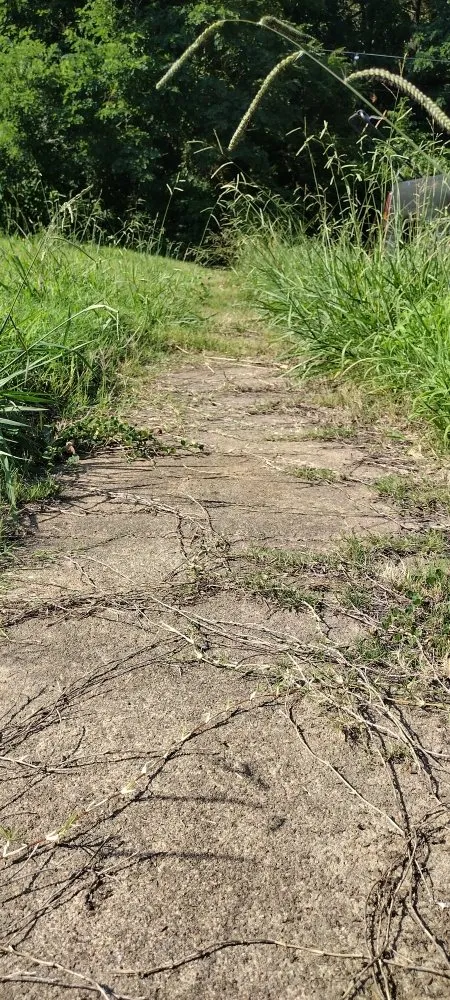 Trusted landscaping services in Bartlett, TN by GRL Landscaping