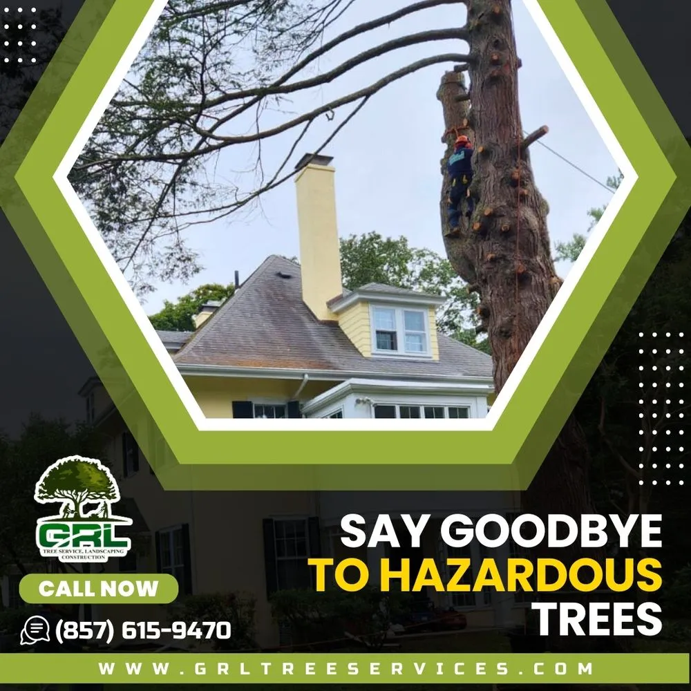 Expert yard maintenance for homes across Lynn, MA - Grl Tree Services Landscaping & Construction