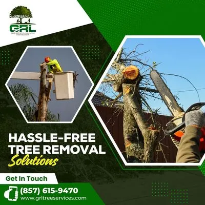 Grl Tree Services Landscaping & Construction Logo
