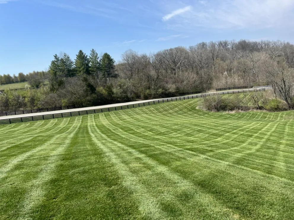 Expert landscape design in New Albany, IN - GRN-Garden Lawn Care