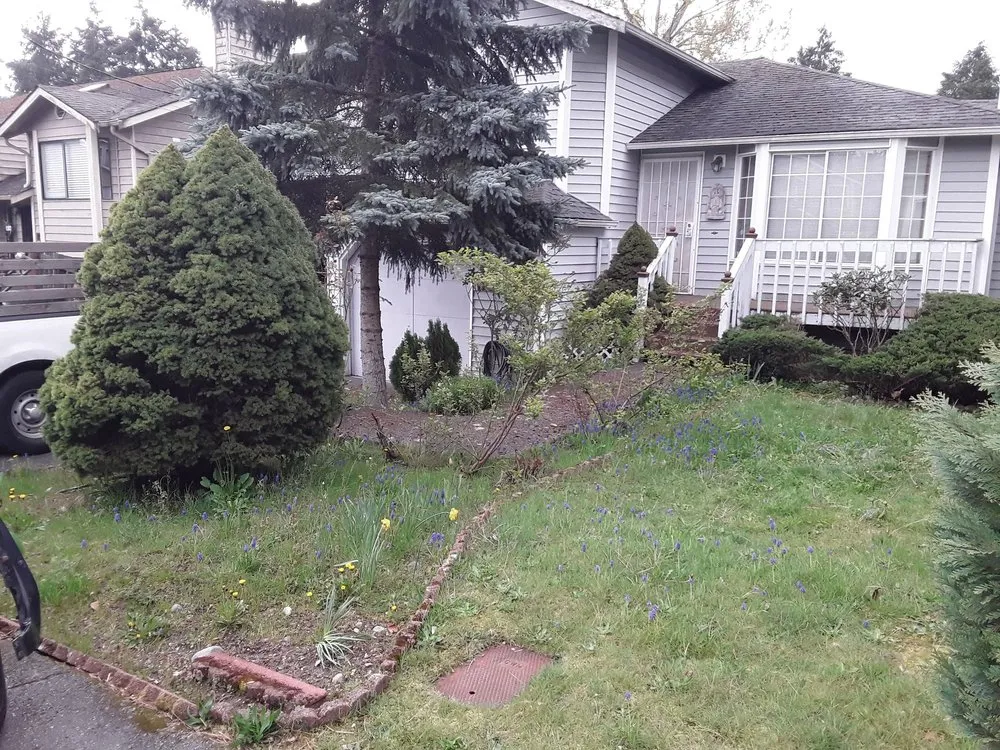 Top-rated landscape installation for homes across Seattle, WA - GRN Space Landscapes