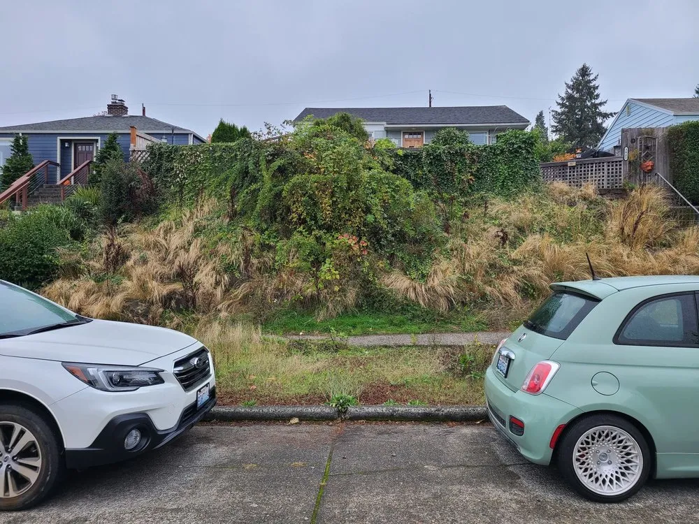 Expert garden landscaping for homes in Seattle, WA by GRN Space Landscapes