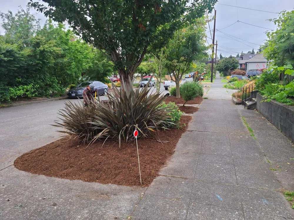 Custom landscaping services for residential properties across Seattle, WA - GRN Space Landscapes