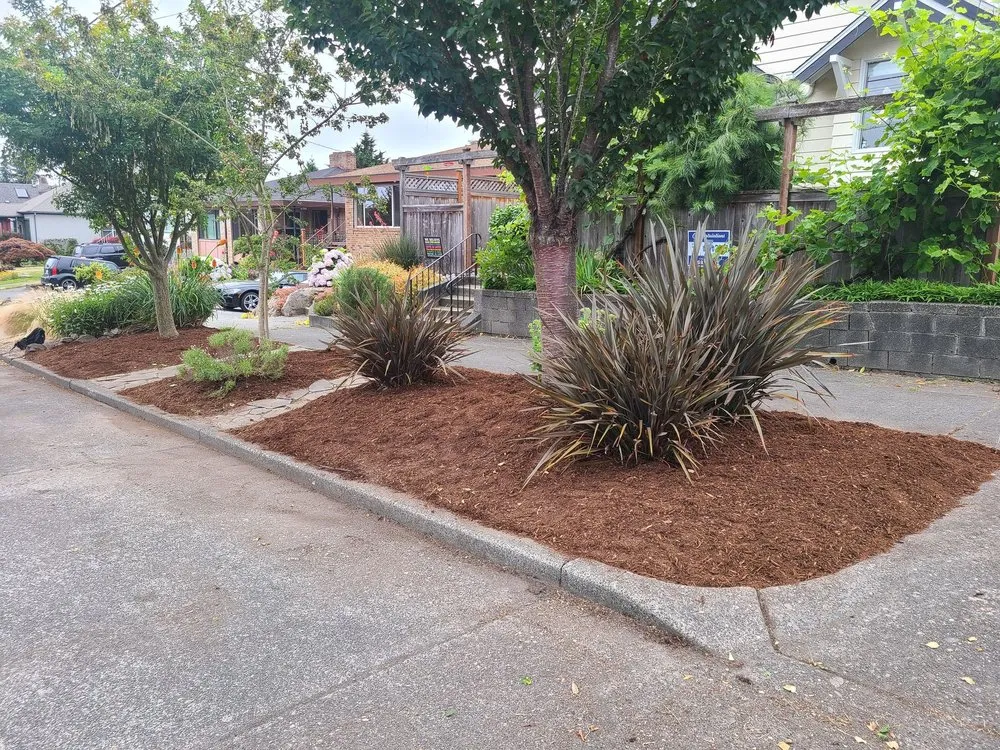Local lawn care service in Seattle, WA by GRN Space Landscapes