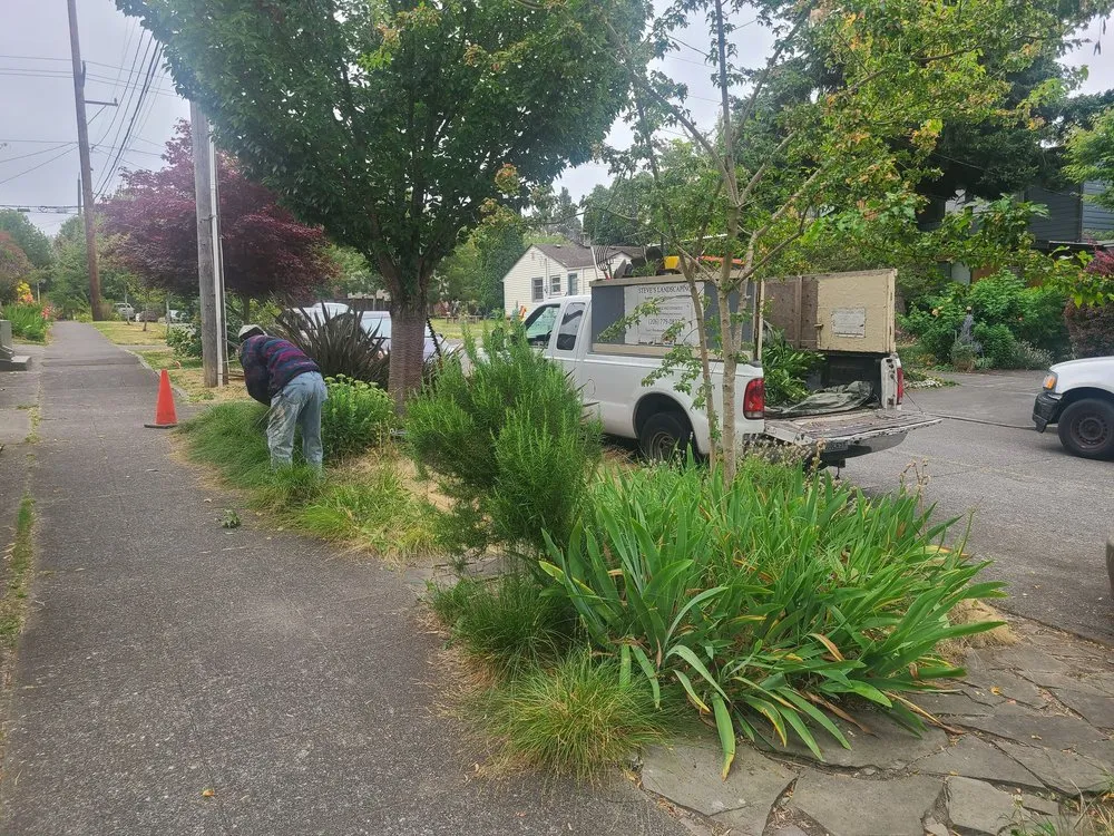 Top-rated landscape installation in Seattle, WA by GRN Space Landscapes