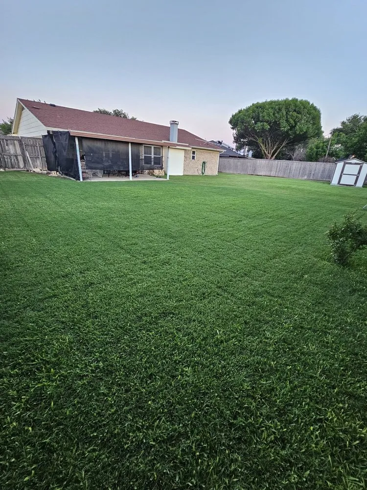 Affordable yard cleanup service experts serving Fort Worth, TX - Gro Lawn