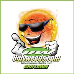 Local yard cleanup service for year-round maintenance across Fort Worth, TX - Gro Lawn