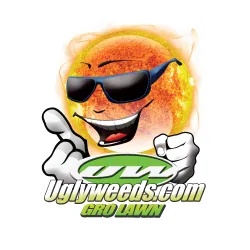 Custom landscaping services in Fort Worth, TX - Gro Lawn