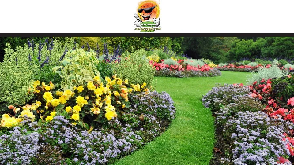 Reliable yard cleanup service in Fort Worth, TX by Gro Lawn