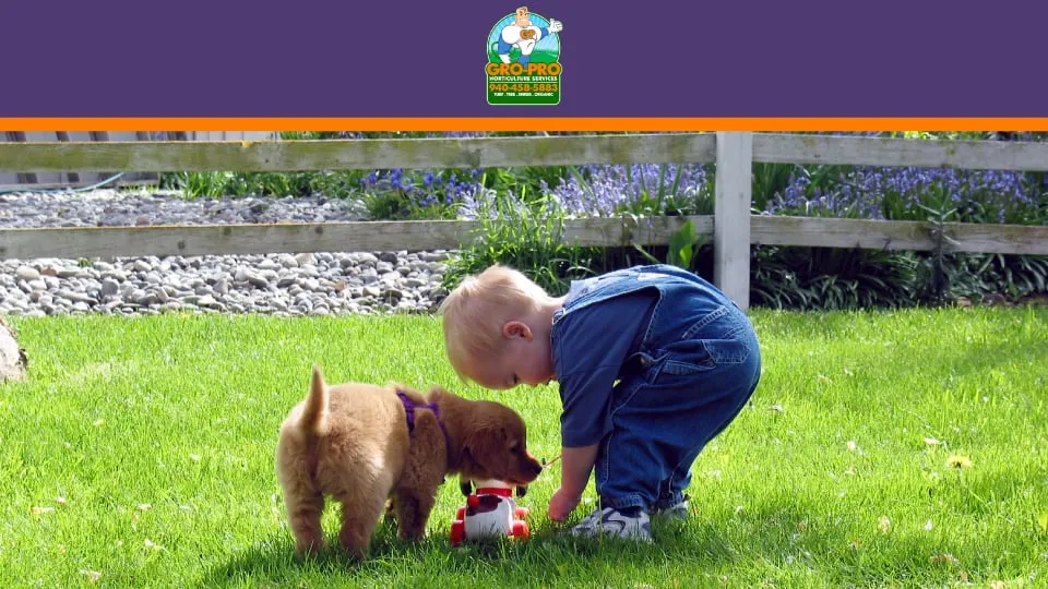 Top-rated lawn care service in Sanger, TX - Gro-Pro Horticulture Services